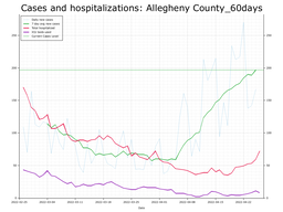 Allegheny County 60 day Cases, Hospitalizations graph