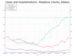 Allegheny County 60 day Cases, Hospitalizations graph