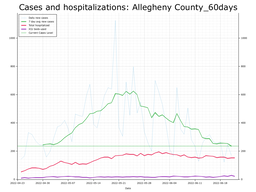 Allegheny County 60 day Cases, Hospitalizations graph