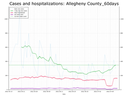 Allegheny County 60 day Cases, Hospitalizations graph